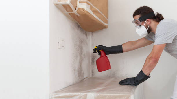 Professional Mold Inspection And Testing technician working in Pentwater, MI